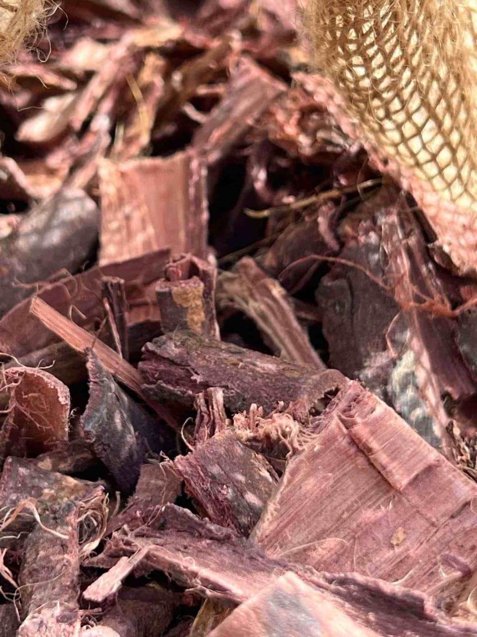 Mimosa Treee Bark